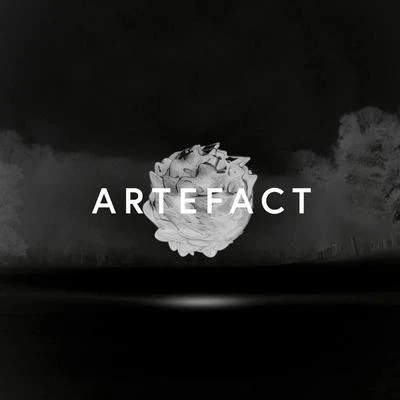 Max CooperArtefact (Remixes)