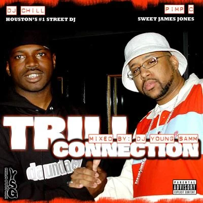 DJ DMD/Fat Pat/Pimp C/Lil KekeDJ Chill Presents Pimp C Trill Connection