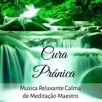 AlmaCura Prânica - Musica Relaxante Calma de Meditação Maestro para Centro de Força Terapia de Som com Sons da Natureza Instrumentais New Age Suaves