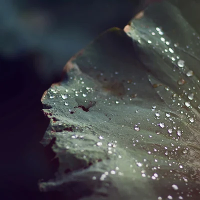 Musica relajante con sonidos de la naturalezaMasaje Relajante MastersSonidos de lluvia para dormirSonidos Suaves Y Tranquilos Del Sueño