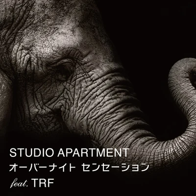 Studio Apartmentオーバーナイトセンセーション