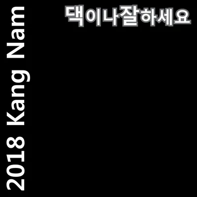 KangNam2018 강남 댁이나 잘하세요