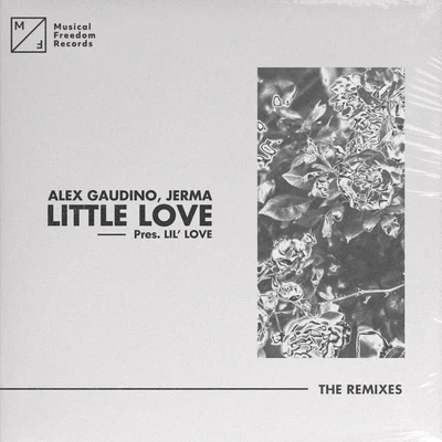 Alex Gaudino/Crystal WatersLittle Love (pres. Lil Love) [The Remixes]