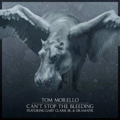 Tom MorelloCant Stop The Bleeding