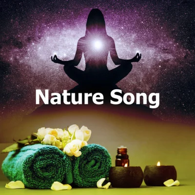 Asian Zen: Spa Music Meditation/Baby Sleep Through the Night/Massage MusicNature Song