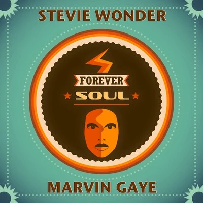 Stevie WonderForever Soul