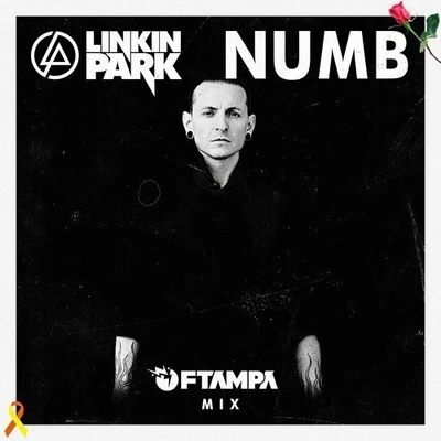 FTampaPaniekNumb (FTampa Mix)