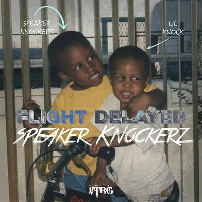 Speaker KnockerzFlight Delayed