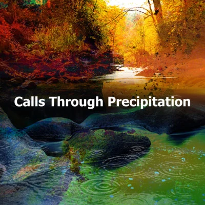 Musica Para Dormir y Sonidos de la NaturalezaCalls Through Precipitation