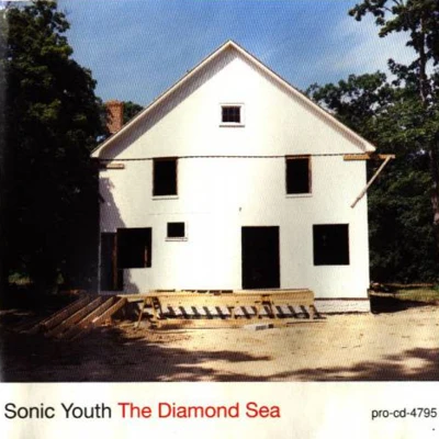 Sonic YouthThe Diamond Sea