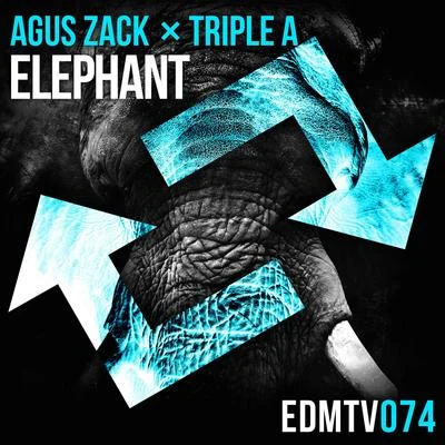 A#Sharp/Agus ZackElephant