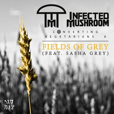 Infected MushroomFields of Grey (feat. Sasha Grey)