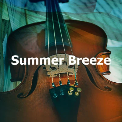 Instrumental Irish MusicSummer Breeze