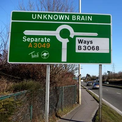 Unknown BrainSeparate Ways