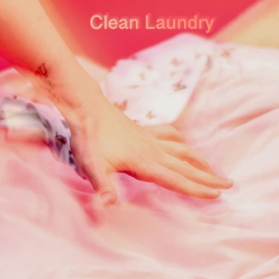 TransvioletGreg SperoClean Laundry