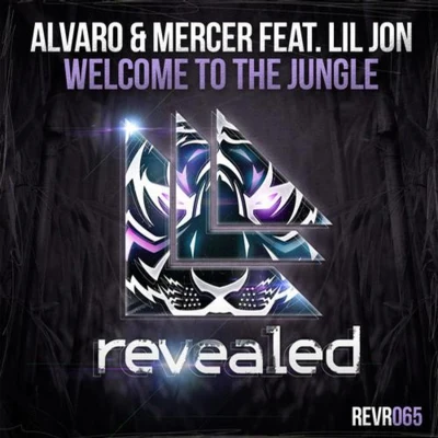 MercerWelcome To The jungle (Original Mix)