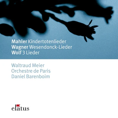 Waltraud MeierMahler, Wagner & Wolf : Orchestral Songs-Elatus