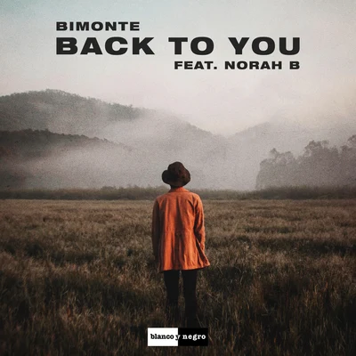 Allenx/Norah B./Quintino & Blasterjaxx/SkelectroBack to You