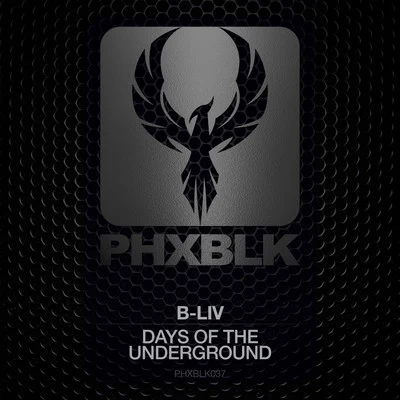 B-LivDays Of The Underground