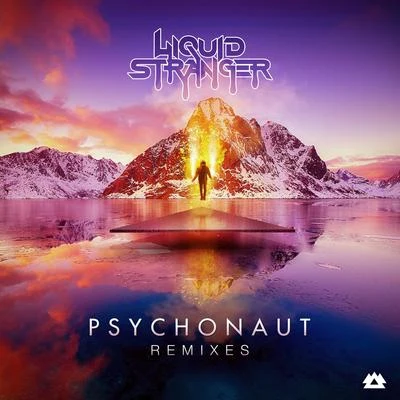 Liquid StrangerPsychonaut (Remixes)