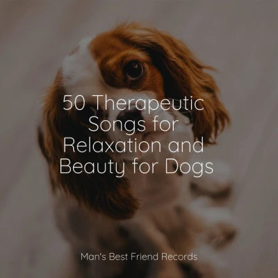 Calm Doggy/Music for Calming Dogs/Jazz Music Therapy for Dogs50 Therapeutic Songs for Relaxation and Beauty for Dogs