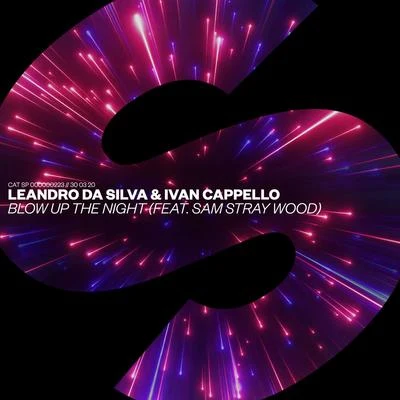 Leandro Da SilvaBlow Up The Night (feat. Sam Stray Wood)