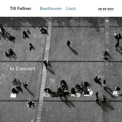 Till FellnerIn Concert (Live)