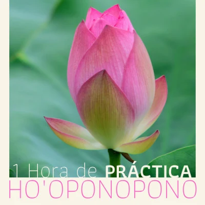 Meditación Maestro1 Hora de Práctica Hooponopono - Meditación del Perdón y Sanación