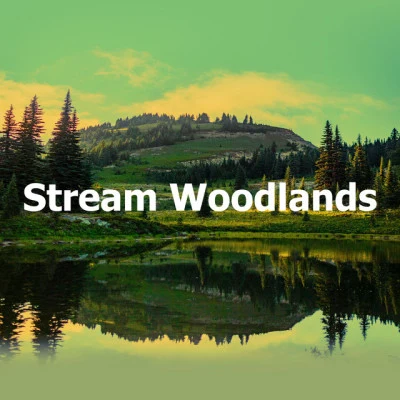 Echoes Of Nature/Relaxing Music/Nature Sounds ArtistsStream Woodlands