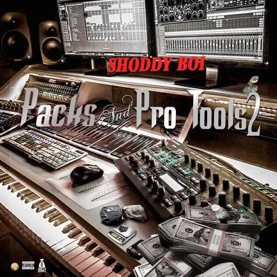 Go Hard/Shoddy BoiPacks & Protools 2