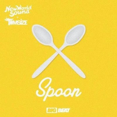 New World SoundSpoon