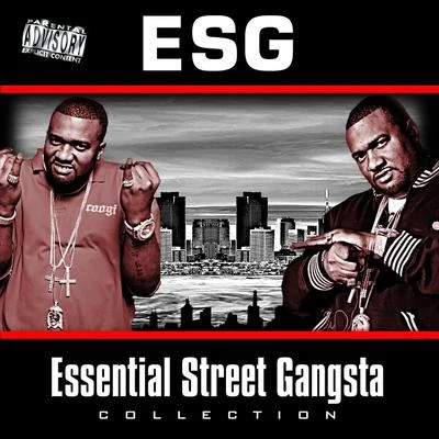 E.S.G./Slim ThugThe Essential Street Gangsta Collection