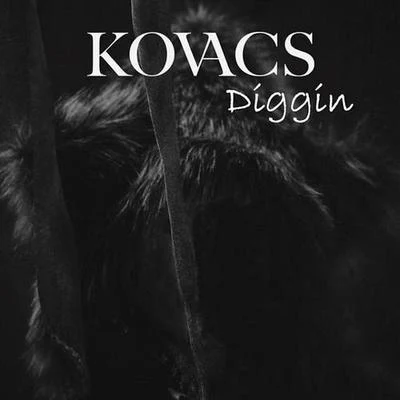 KovacsDiggin