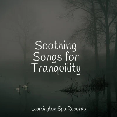 AmbientalismSoothing Songs for Tranquility