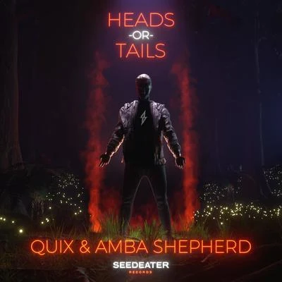 QUIXHeads or Tails