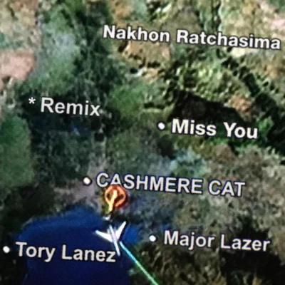 Cashmere Cat/Rustie/DJ Manny/Faze Miyake/Uncon Sci/Visionist/S-Type/Quintino & Blasterjaxx/RP Boo/DJ RashadMiss You (Remixes)