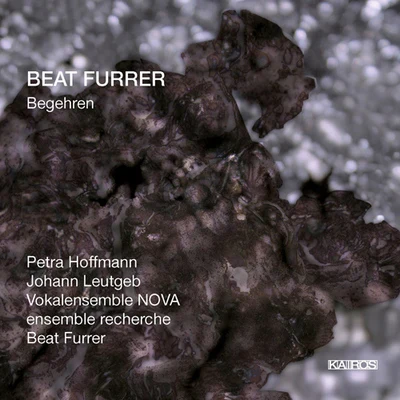 Ensemble Recherche/Barbara Maurer/Peter HirschChamber Music - PESSON, G.FERNEYHOUGH, B.HUBER, K.KROLL, G.HOSOKAWA, T.SCHURIG, W. (In Nomine) (Ensemble Recherche)