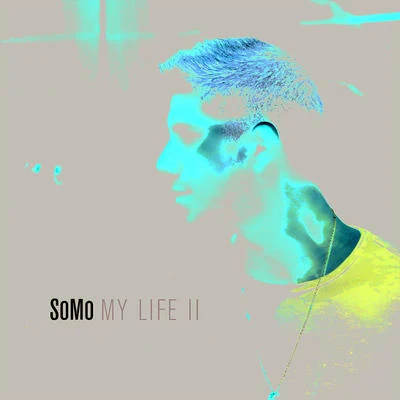 SoMoMy Life II