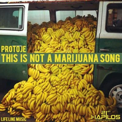 ProtojeThis Is Not a Marijuna Song