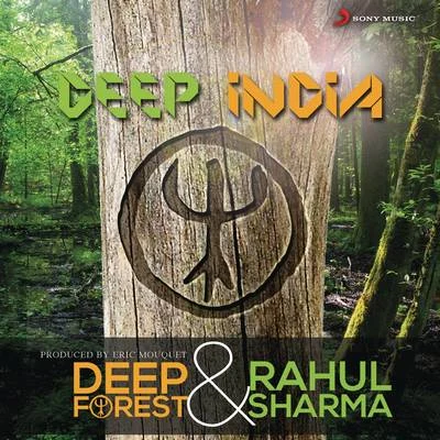 Deep ForestDeep India