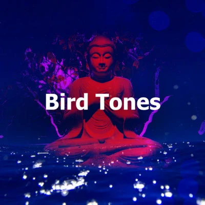 Asian Zen: Spa Music MeditationBird Tones