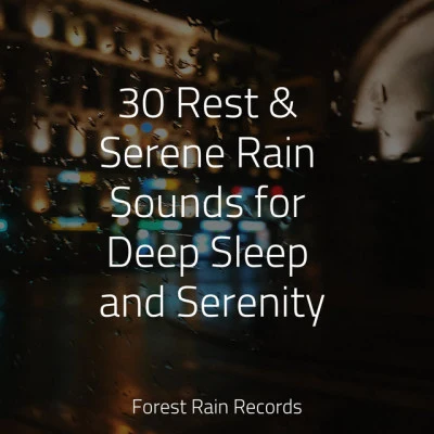 Sounds Of NatureMeditation and Stress Relief TherapyRaindrops Sleep30 Rest & Serene Rain Sounds for Deep Sleep and Serenity