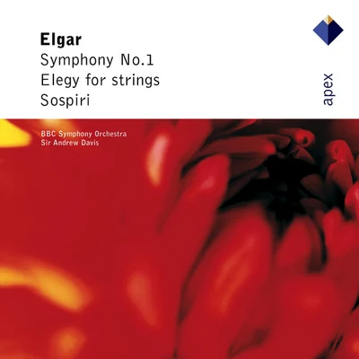 Sir Andrew DavisElgar : Symphony No.1, Elegy & Sospiri-Apex