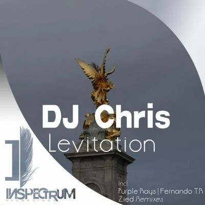 Dj Chris/IndiGoLevitation