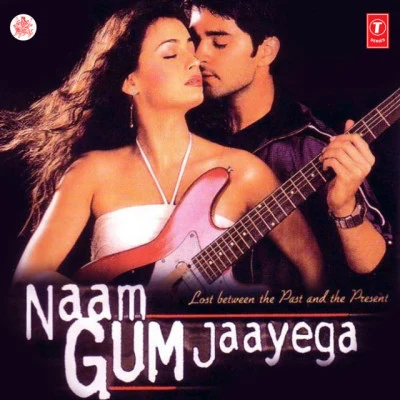 Anand-MilindNaam Gum Jaayega