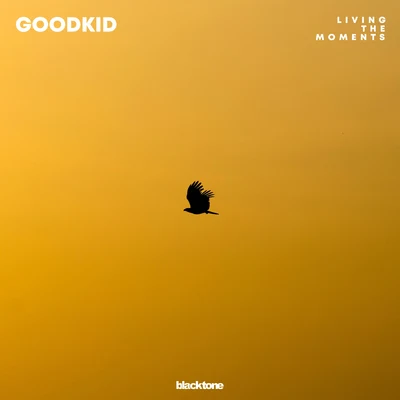 Goodkid/MitchLiving The Moments