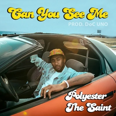 Polyester the Saint/Diamond Ortiz/Clyde Carson/Le$Can You See Me - Single