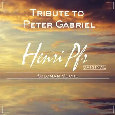 Henri PfrTribute to Peter Gabriel (Solsbury Hill)