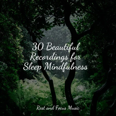 Kings of Nature/Easy Sleep Music/Zen Music Garden30 Beautiful Recordings for Sleep Mindfulness