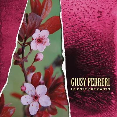 Giusy FerreriNeri Per CasoLe cose che canto